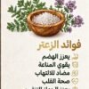 زعتر بلدي 350 غم